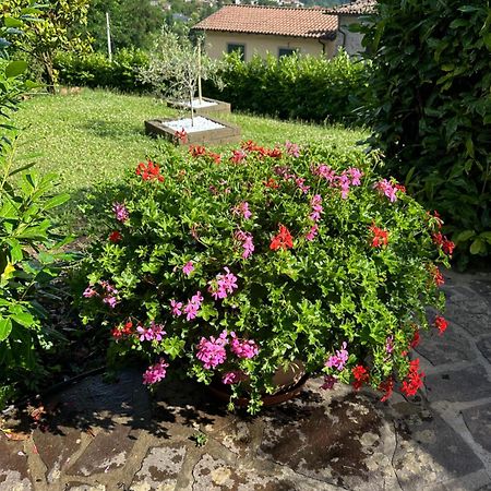 Casa Margherita Celide San Romano in Garfagnana Екстер'єр фото